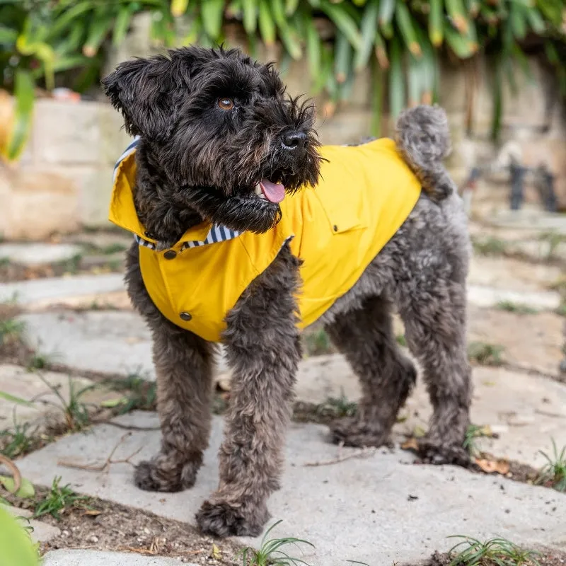 DOGUE Essential Dog Raincoat