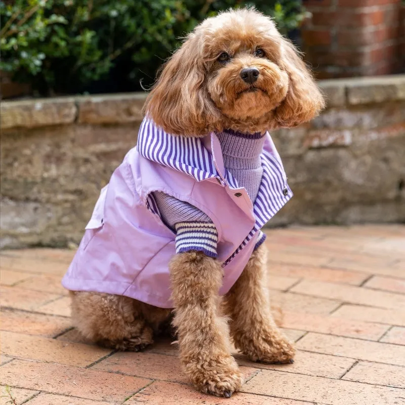 DOGUE Essential Dog Raincoat