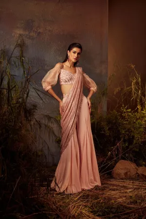 Emboidered blouse and pallu drape saree set