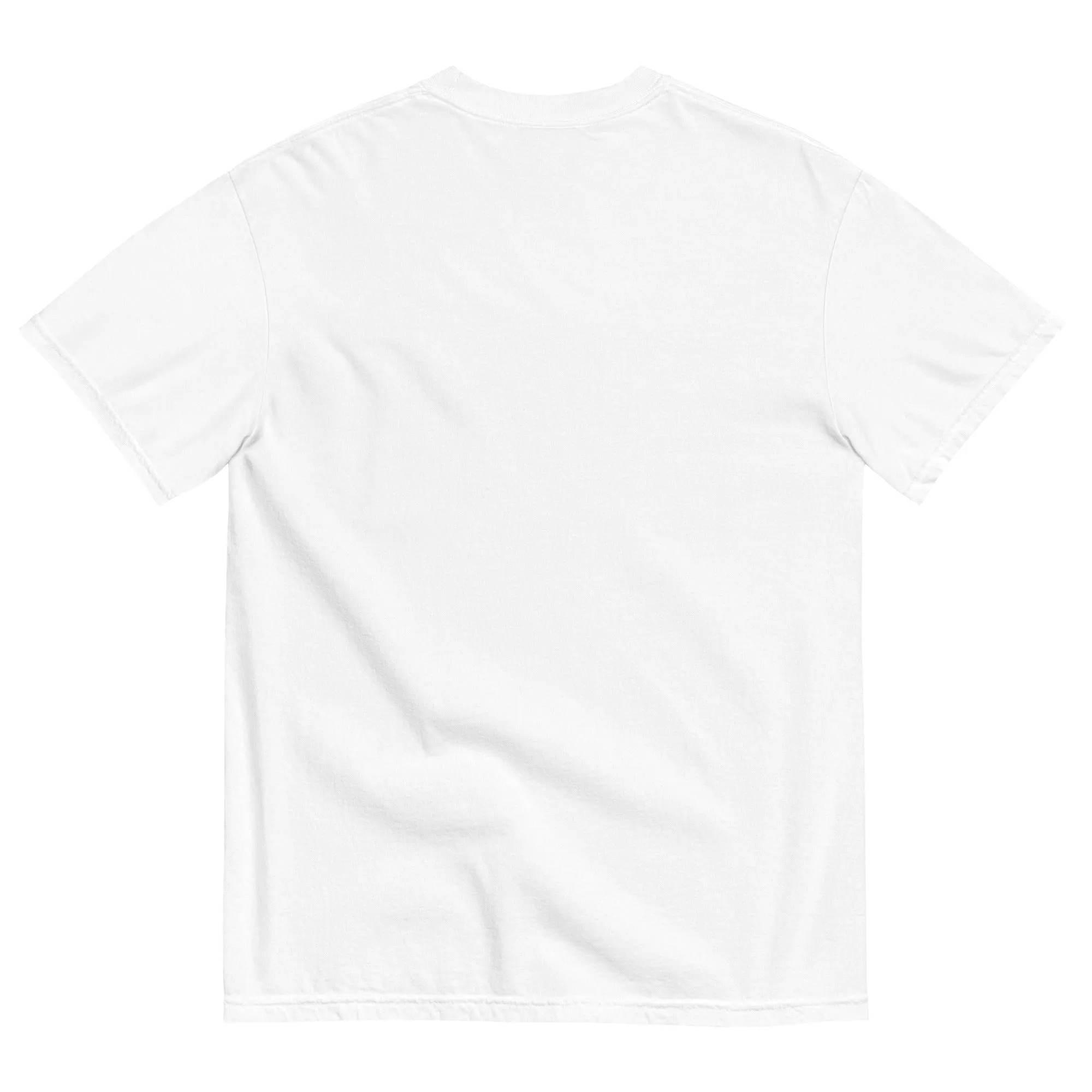 Not Ashamed tee