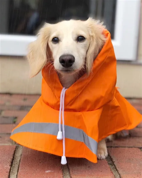Raincoat - Orange